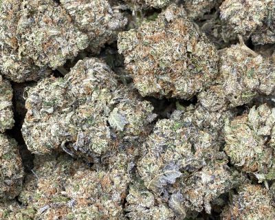 BUBBA TUNA (MEGA GAS) - Image 5